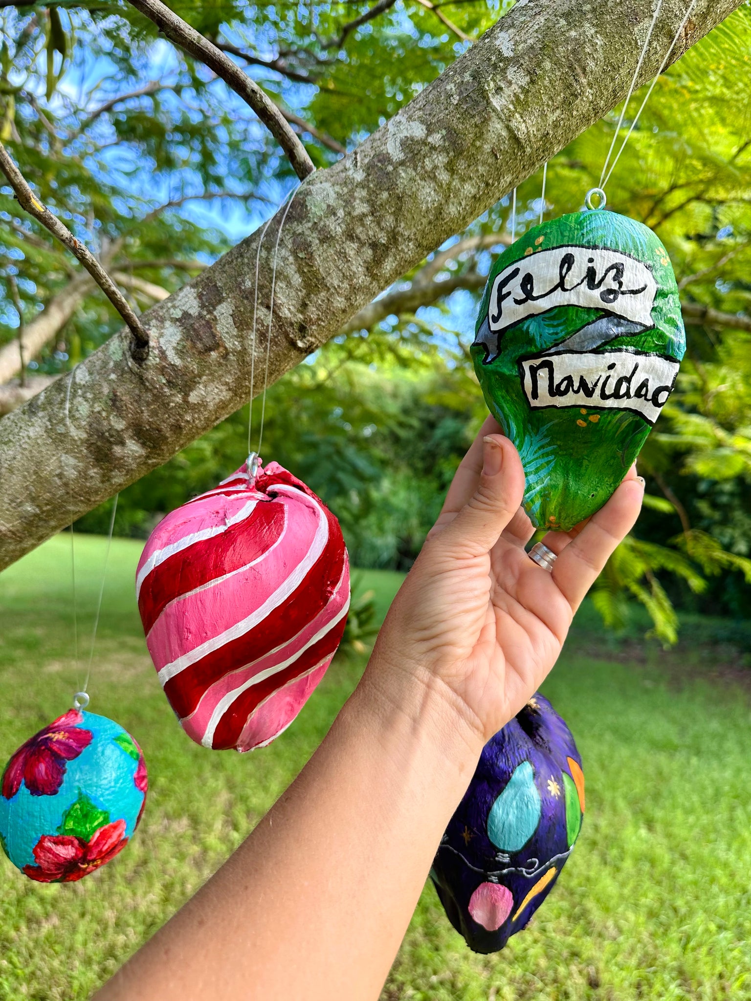 Paint Christmas Coconut Ornaments! Mon. 12/2/24, 3pm