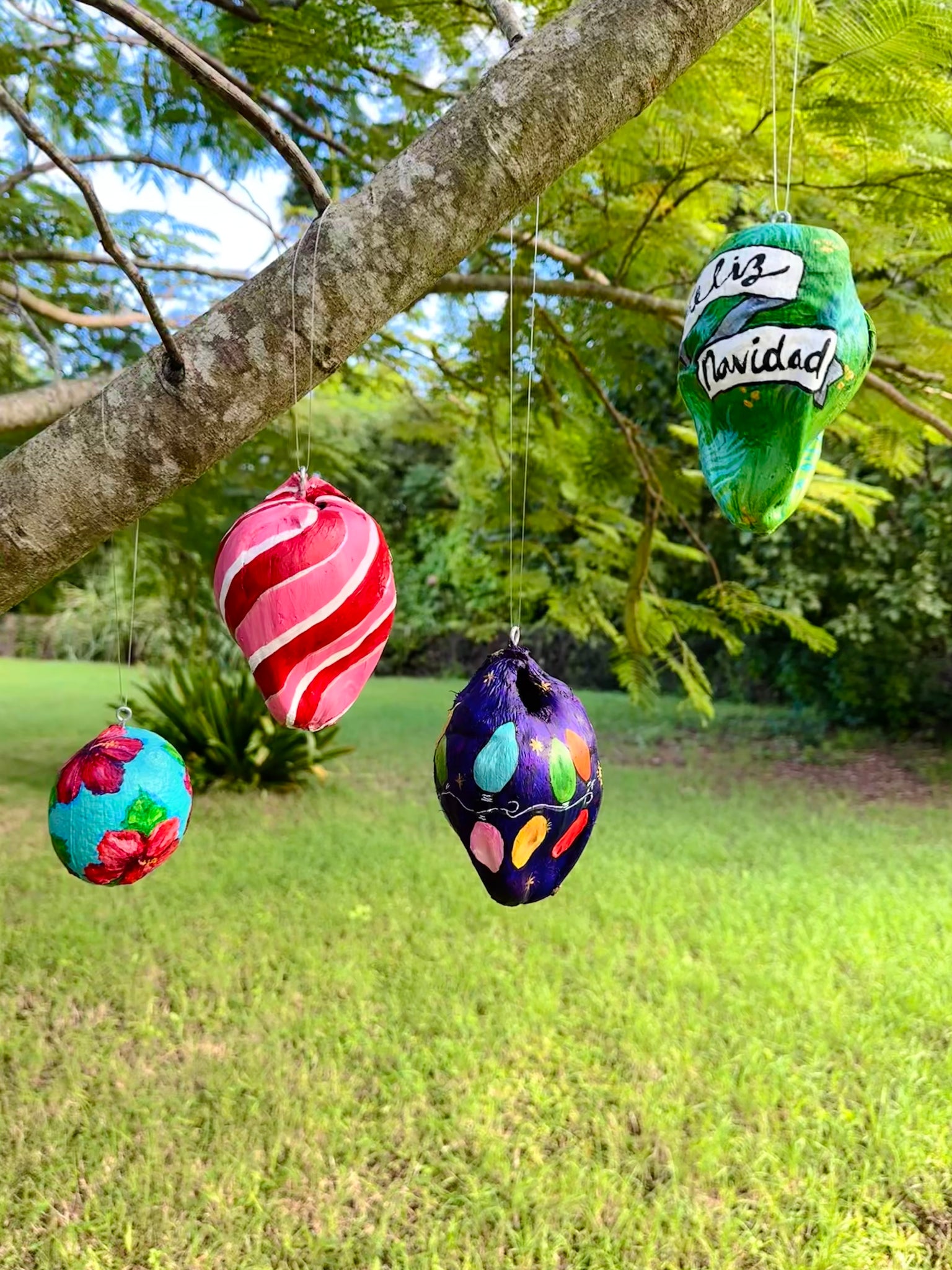 Paint Christmas Coconut Ornaments! Mon. 12/2/24, 3pm